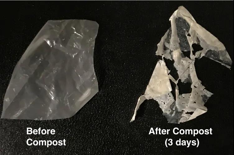 《自然》重磅献礼！科学家造出了能在几天里完全降解的塑料(图4)