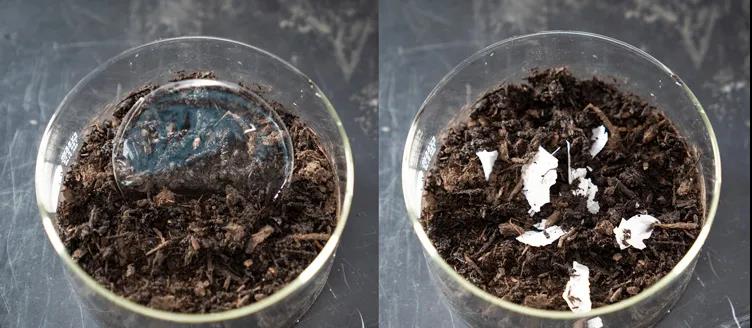 《自然》重磅献礼!科学家造出了能在几天里完全降解的塑料(图5) 《自然》重磅献礼!科学家造出了能在几天里完全降解的塑料(图5)